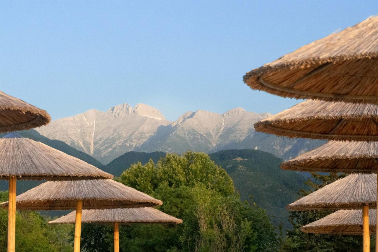 Olympios Zeus Hotel Pláka Litóhoru Kültér fotó